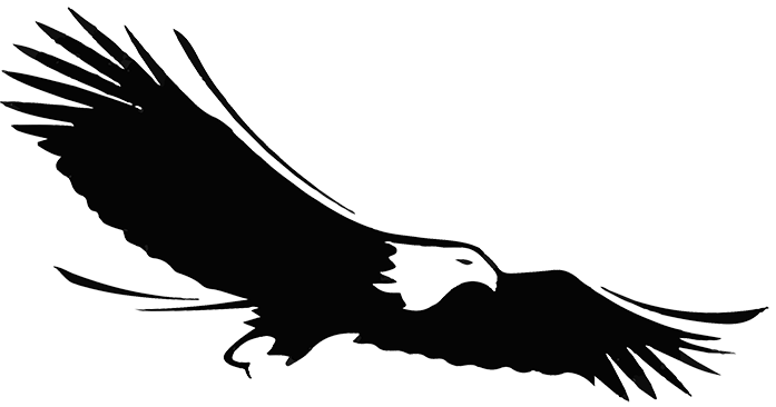 Eagle Print Solutions Logo - image of black and white eagle flying